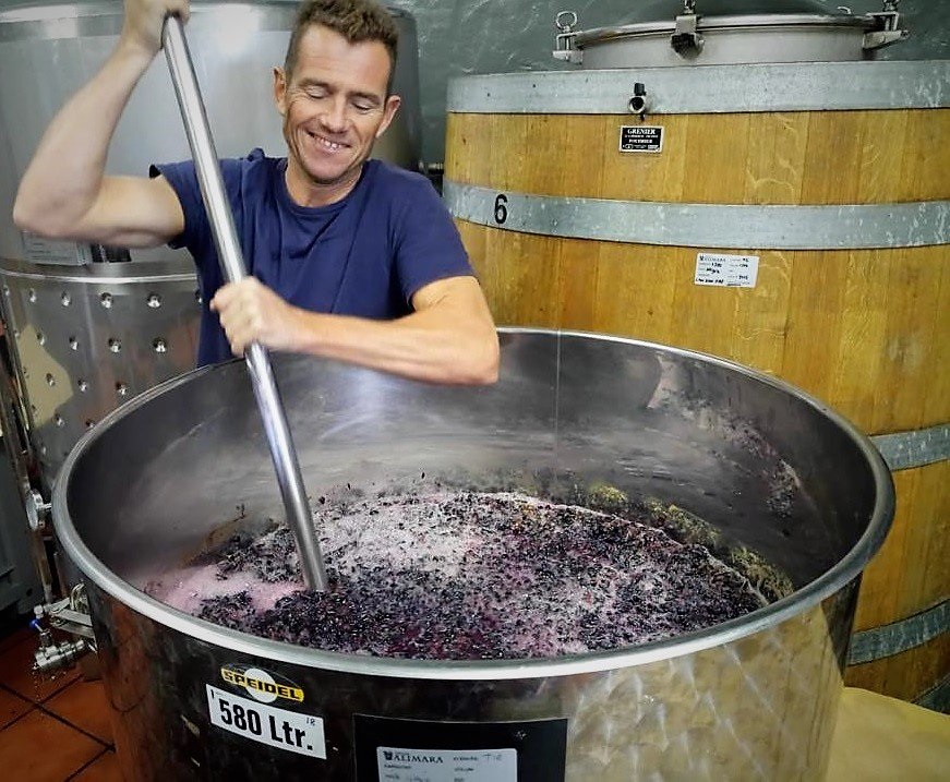 Carignan Punchdown 2018 harvest Carignan Punchdown 2018 harvest